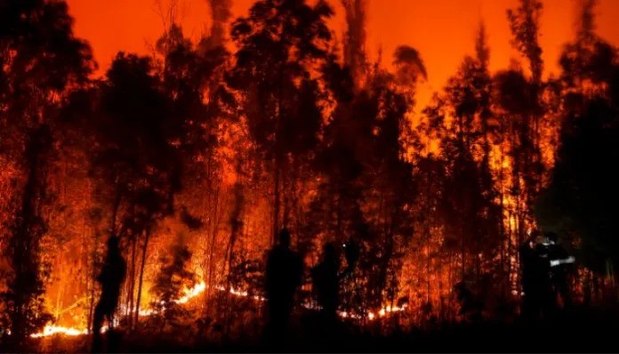 चिली के जंगलों में बेकाबू हो रही आग, देश में आपातकाल घोषित